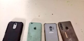 DETIENEN A DOS CHILANGOS ROBANDO CELULARES EN CONCIERTO DE PANTEÓN ROCOCÓ