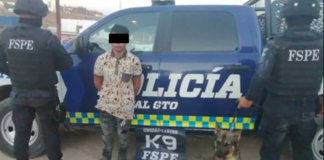 PERRITO “BOMBER” DETIENEN A JOVEN CON DROGA EN LEÓN