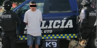 UNIDAD CANINA DETIENE A DOS HOMBRES CON DROGA EN LEÓN