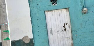 BALEAN DOMICILIO EN LA COLONIA LA FLORESTA