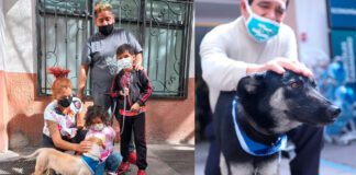 ADOPTA UNA MASCOTA EN EL “MIÉRCOLES CIUDADANO”