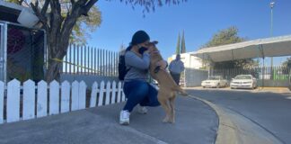 TRAS DOS SEMANAS, SE REENCUENTRA ELIZABETH CON SU MASCOTA
