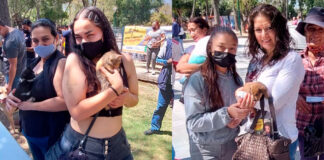 ENCUENTRAN 54 MASCOTAS NUEVO HOGAR EN EL ADOPTÓN DEL PARQUE HIDALGO