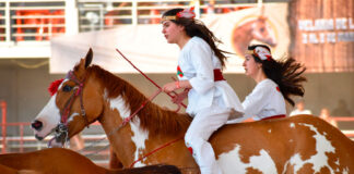 CELEBRAN EN LEÓN EL FESTIVAL INTERNACIONAL DEL CABALLO