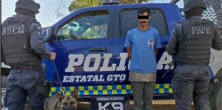 DETIENEN A HOMBRES CON DROGA GRACIAS A FIRULAIS