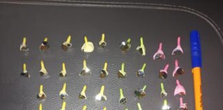 ASEGURAN MÁS DE 23 MIL PIEZAS DE DROGA EN LEÓN EN UNA SEMANA