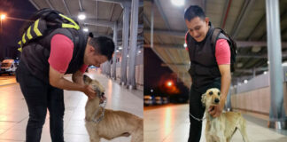 LEONÉS RECUPERA A SU PERRITA TRAS ESTAR DESAPARECIDA