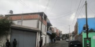 BALEAN A “EL PANCHO” EN LAS MANDARINAS