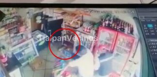 NIÑO MOLESTA A PERRO; LO MUERDE Y FAMILIARES GOLPEAN AL CANINO