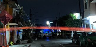 BALEAN A HOMBRE EN LOMAS DE LA PISCINA