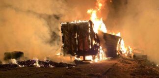 TRAILERO MUERE CALCINADO TRAS TERRIBLE ACCIDENTE EN LA SILAO-SAN FELIPE
