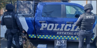 ASEGURAN CRISTAL, MARIGUANA Y DINERO EN PARQUES LA NORIA