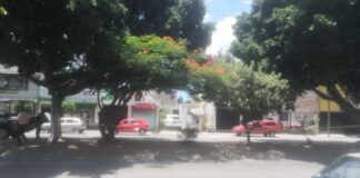 BALEAN A HOMBRE EN VILLAS DE SANTA JULIA