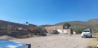 BALEAN A MADRE E HIJO EN ALFARO