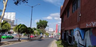 INVESTIGA MUNICIPIO LA PODA NO AUTORIZADA DE ÁRBOL