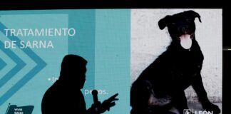 PROMUEVE MUNICIPIO DE LEÓN LA TENENCIA RESPONSABLE DE MASCOTAS