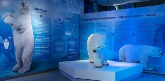 LLEGA EXPOSICIÓN “ÁRTICO, LA EXPEDICIÓN” AL ACUARIO DE LEÓN