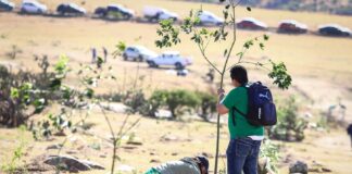 REALIZA MUNICIPIO LABORES DE REFORESTACIÓN