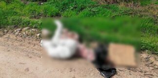 ENCUENTRAN DOS CUERPOS EN LEÓN