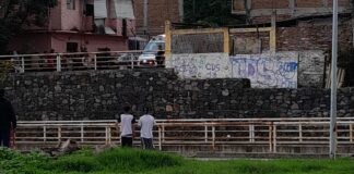 BALEAN A HOMBRE EN LA COLONIA PILETAS I