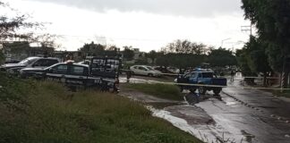 BALEAN A CONDUCTOR EN LA RÍO MAYO
