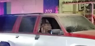 DETENIDOS CON COMBUSTIBLE EN LEÓN SERÁN ACUSADOS DE TERRORISMO
