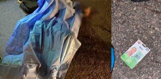 MUERE MOTOCICLISTA AL SER ATROPELLADO EN LA LEÓN-SILAO