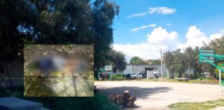 MATAN A HOMBRE EN LA COLONIA LA PISCINA 3.5