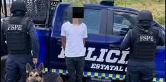 AYUDA FIRULAIS A DETENER A HOMBRE CON DROGA EN LOMAS DE MEDINA