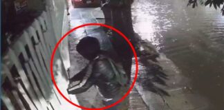 (VIDEO) NI LA LLUVIA DETIENE A LADRONES EN LEÓN MODERNO