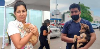 ENCUENTRAN HOGAR A 37 MASCOTAS EN ADOPTÓN Y ESTERILIZAN A 157