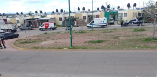 BALEAN A HOMBRE EN PUNTA DORADA