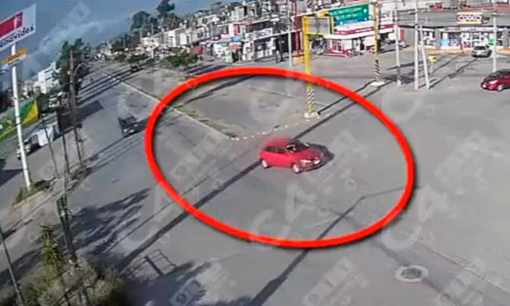 Detienen-ladrones-leon
