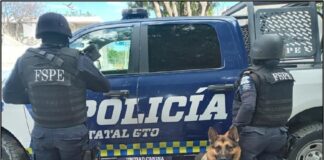 FIRULAIS ENCUENTRA DROGA Y CILINDROS PARA CIGARROS ELECTRÓNICOS EN LEÓN