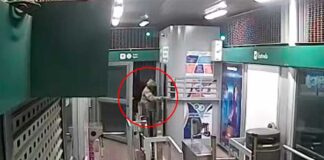 DENUNCIAN ROBO EN PARADERO EGIPTO