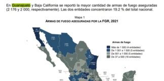 GUANAJUATO, LÍDER NACIONAL EN ASEGURAMIENTO DE ARMAS
