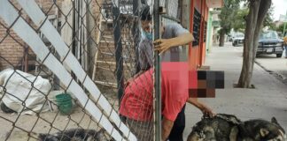 TRAS DENUNCIA, RESCATAN A TRES PERROS HUSKYS EN LEÓN