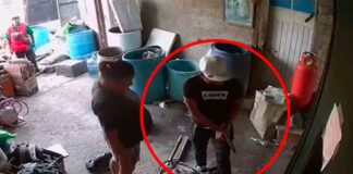 (VIDEO) CAPTAN ASALTO A RECICLADORA EN LA FLORES MAGÓN