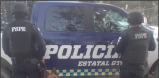 APRUEBAN MECÁNICA PARA PROTEGER ANIMALES DEDICADOS A TAREAS DE SEGURIDAD