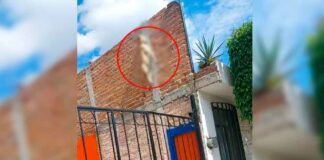 DENUNCIA MUNICIPIO PENALMENTE A VECINOS RESPONSABLES DE MALTRATO ANIMAL