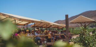 CONOCE LOS EVENTOS DE VINO DE BAJA CALIFORNIA QUE NO TE PUEDES PERDER ESTE 2023
