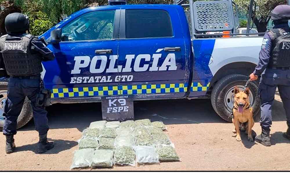FIRULAIS-DETIENEN-DROGA-LEON