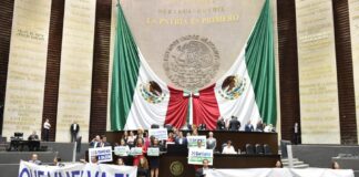 MORENA Y ALIADOS ELIMINAN INSABI
