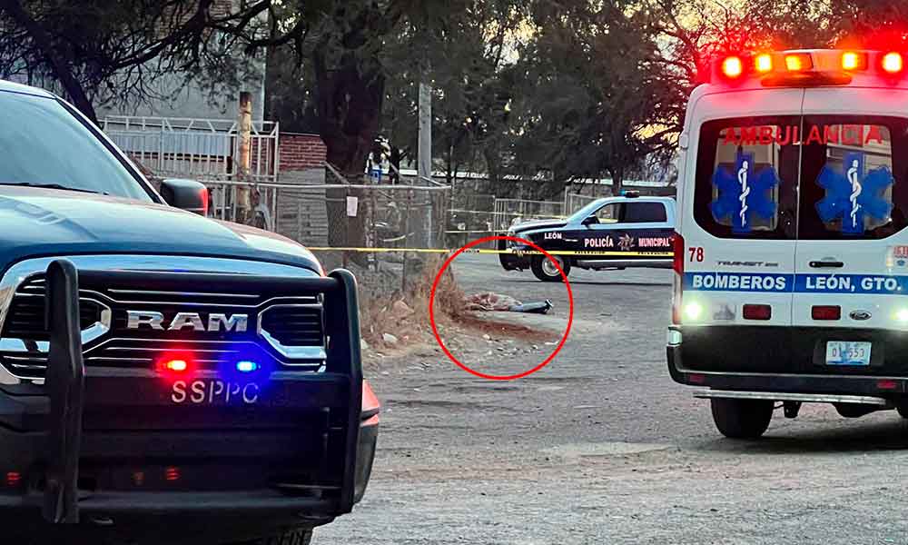 asesinan-el-peri-leon-gto-pradera-del-sol