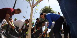 COMIENZAN JORNADA DE FORESTACIÓN PARA LLEGAR A 36 MIL ÁRBOLES ESTE AÑO