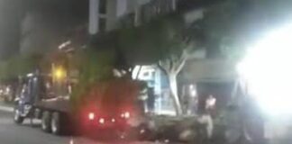TRASPLANTAN EN COLONIA MODERNA TRES ÁRBOLES RETIRADOS DE LÓPEZ MATEOS
