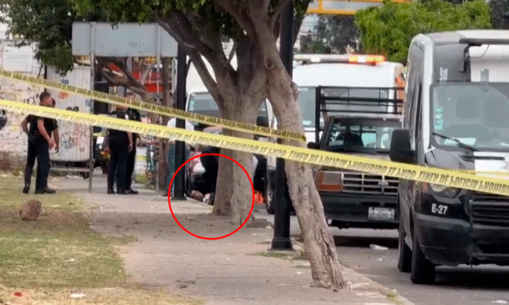 balean-a-hombre-panteon-san-nicolas-leon