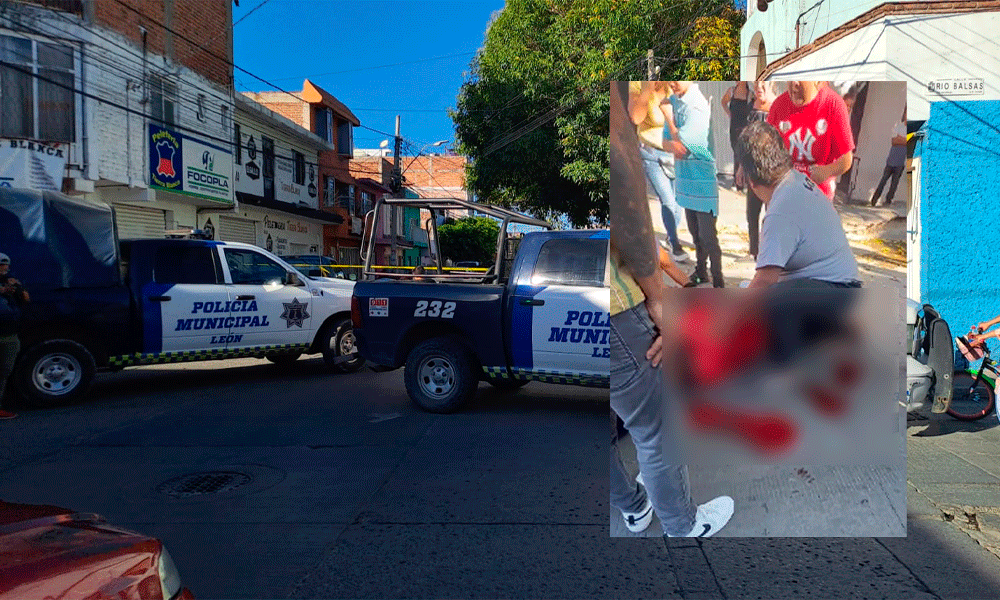 balean-cocol-leon
