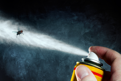 Man,Spraying,On,A,Fly,A,Poisonous,Aerosol