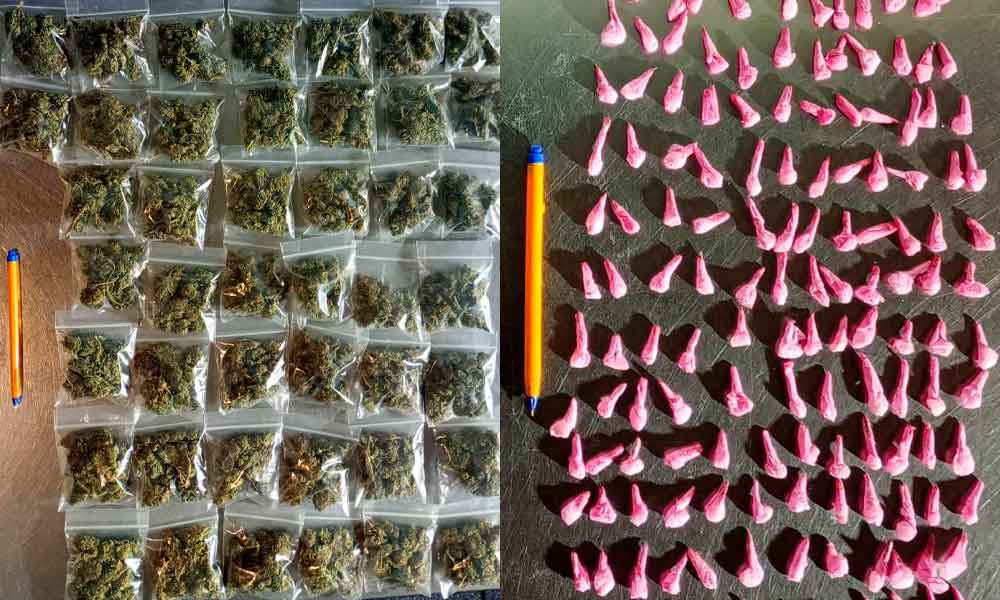 DETIENEN-DISTRIBUIDORA-DROGA-BELLAVISTA-LEON